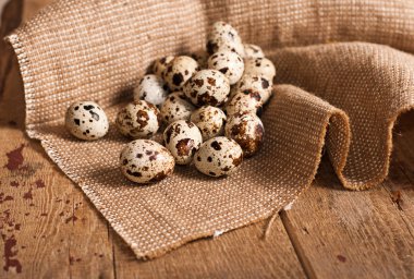 bıldırcın yumurtası