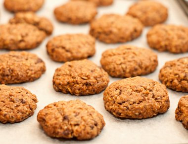 yulaf ezmeli kurabiye