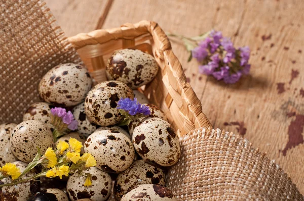 Uova di quaglia in cesto e fiori — Foto Stock