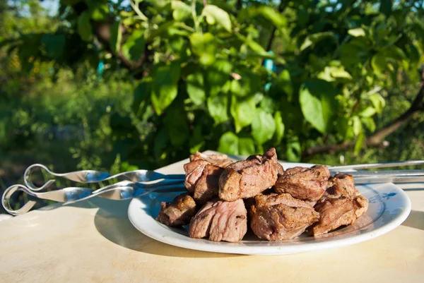 Shashlik on white plate — Stock Photo, Image