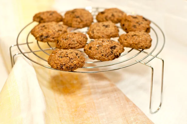 Cookies — Stock Photo, Image