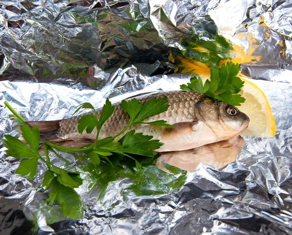 Rå fisk med citron och persilja — Stockfoto