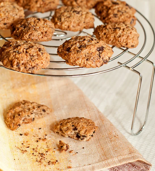 Cookies — Stock Photo, Image