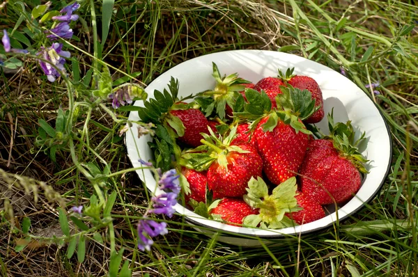 Strawberry on white dish — Stock Photo, Image
