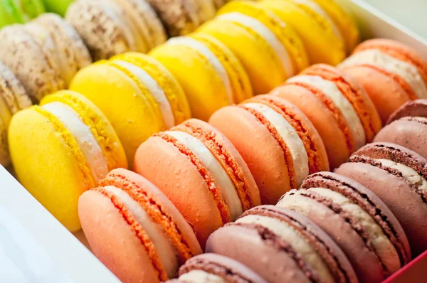 Macaroons. — Fotografia de Stock