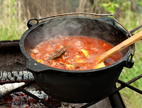Shourpa - zupa pomidorowa na ogień — Zdjęcie stockowe