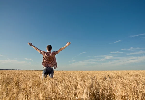 Young man in the wheat field — Stock Photo, Image