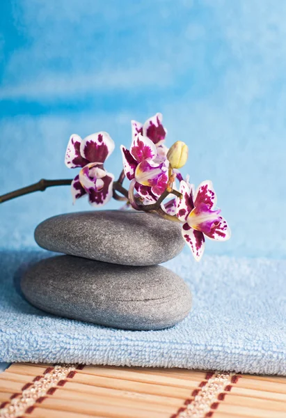 Spa stenar och pink orchid — Stockfoto