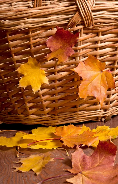 Herbstkorb — Stockfoto