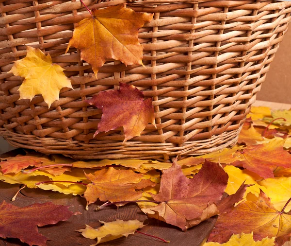 Herbstkorb — Stockfoto