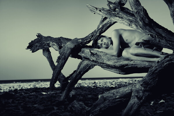 Dreaming man in the snag