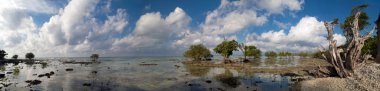panoramik neil Island Beach