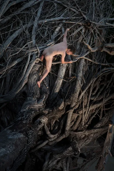 Nackter Mann klettert zwischen Wurzeln — Stockfoto