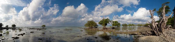 Панорамний вид на Ніл острів-пляж — стокове фото