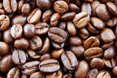 Kavrulmuş kahve çekirdeği.