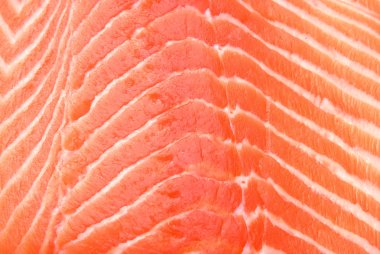 fresh salmon clipart