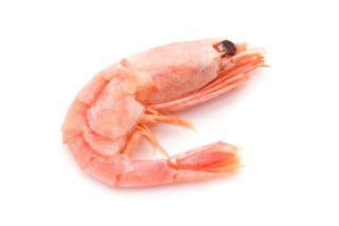 karides