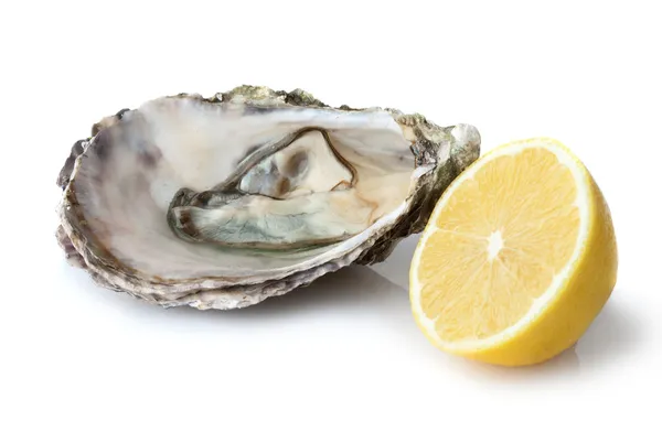 牡蠣とレモン — ストック写真