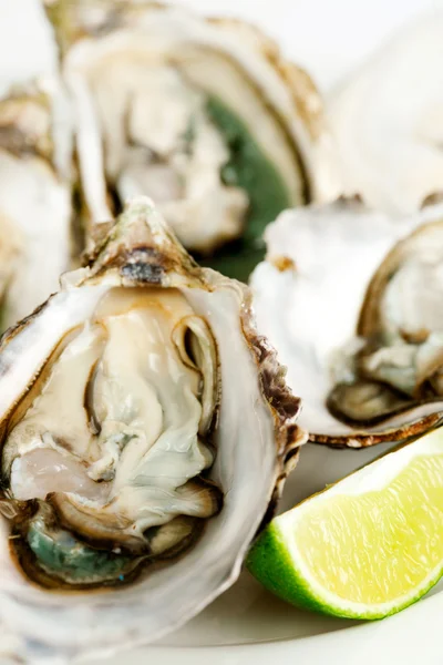 Served Oysters — Stock Photo, Image