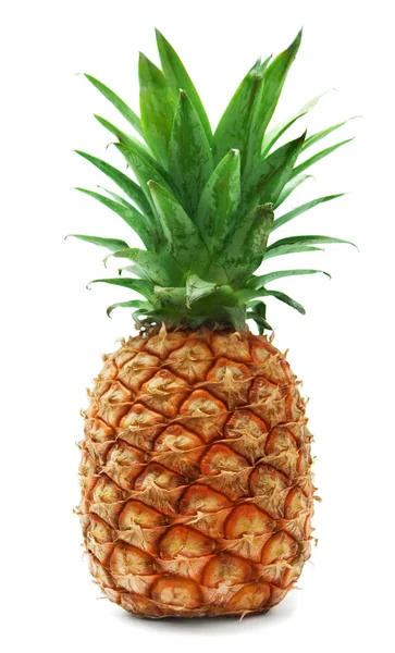 Reife Ananas — Stockfoto