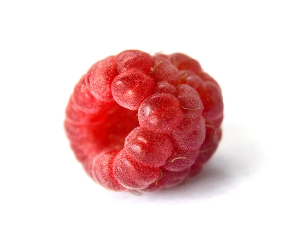 Framboise — Photo