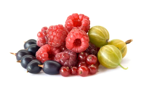 Berries — Stock Photo, Image