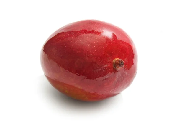 Mango vruchten — Stockfoto