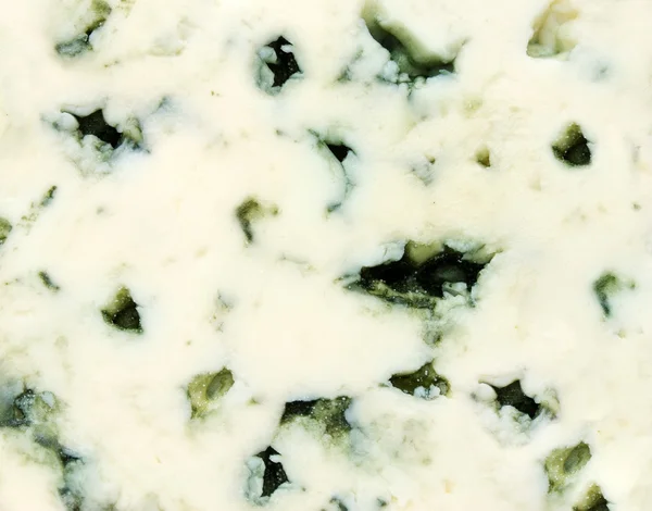 Fondo de queso azul — Foto de Stock