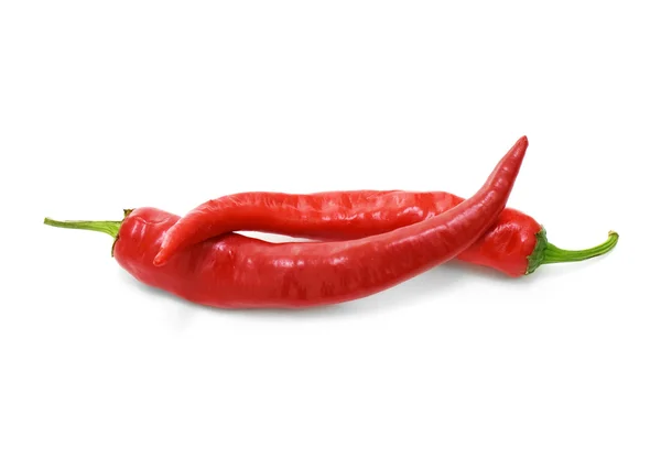 Dois pimentos de pimenta vermelha quente — Fotografia de Stock