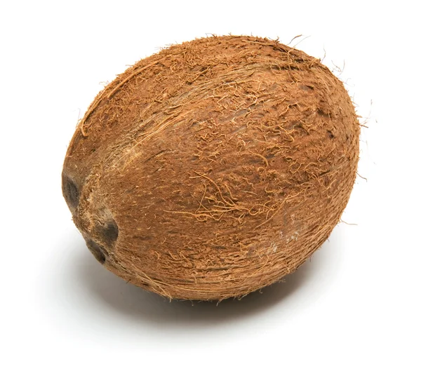 Coconut — Stock Photo, Image