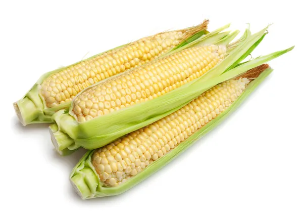 Uma espiga de milho isolada sobre um fundo branco — Fotografia de Stock