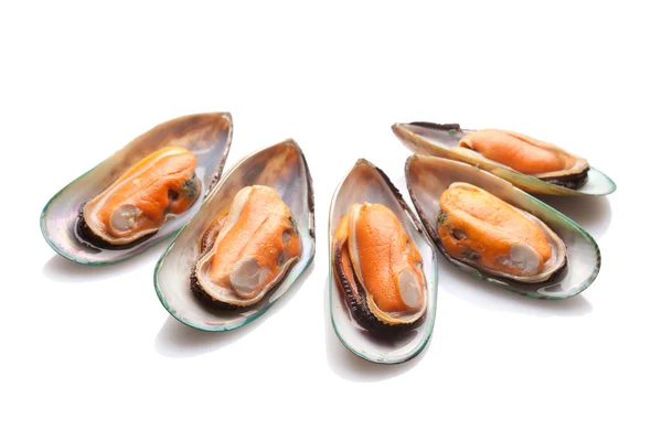 Boiled mussels — Stock Photo, Image