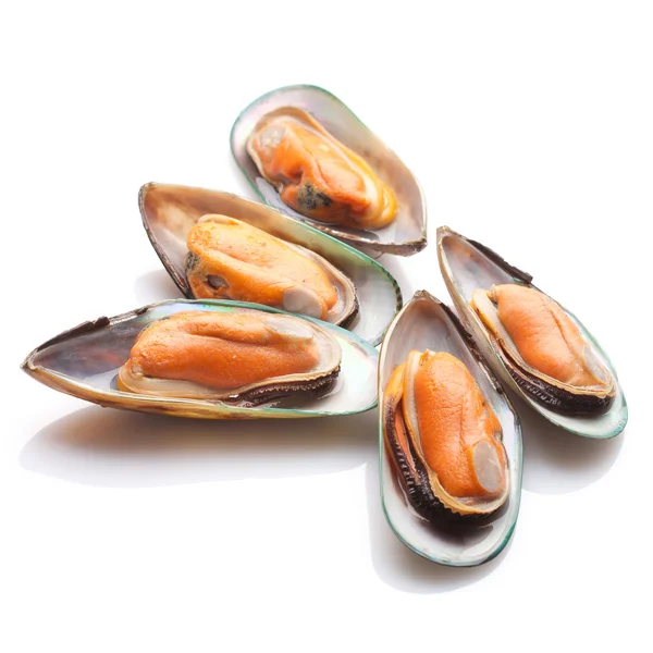 Boiled mussels — Stock Photo, Image