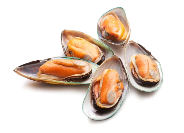 Boiled mussels — Stock Photo, Image