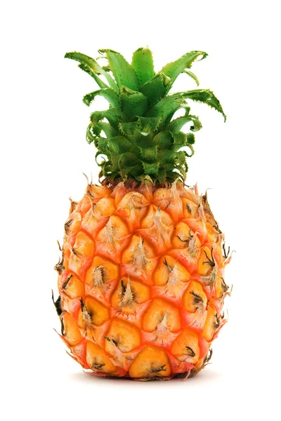 Ananas maturo — Foto Stock