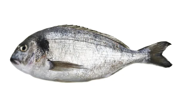 Poisson dorado — Photo