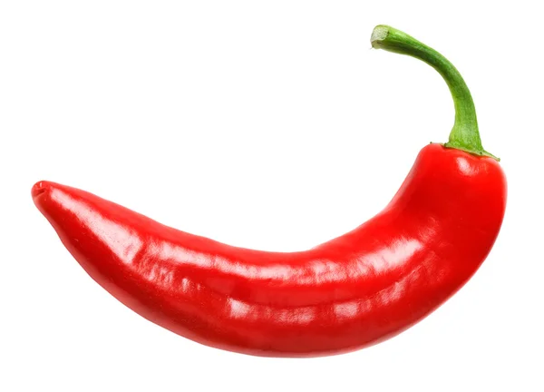 Red chilly peppe — Stock Photo, Image