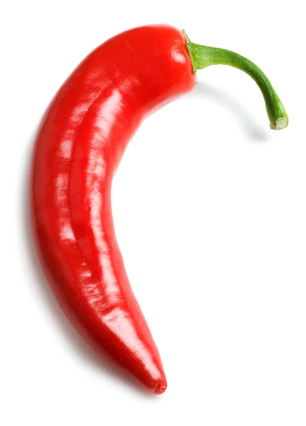 Röd kylig peppe — Stockfoto