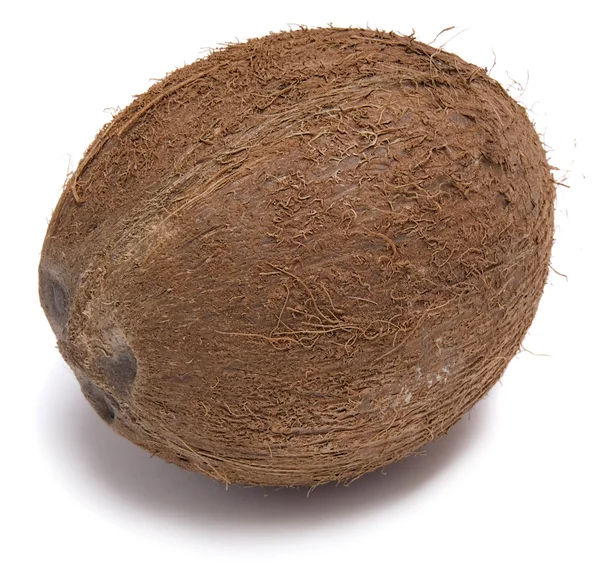 Coconut — Stock Photo, Image