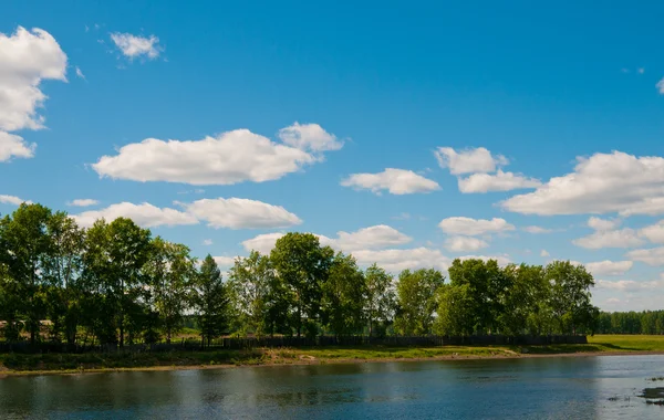 Rzeka i lato natura — Zdjęcie stockowe