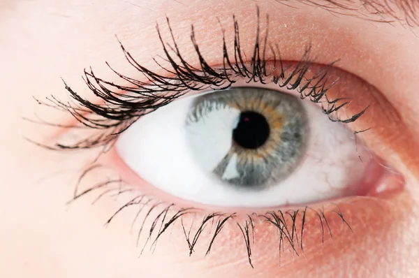 Human eye. macro shooting — Stock Photo, Image