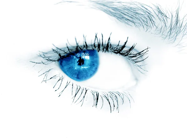 Closeup tiro de olho azul no fundo branco — Fotografia de Stock