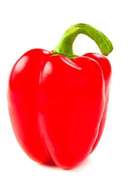 Fresh red pepper on white — Stock Photo, Image