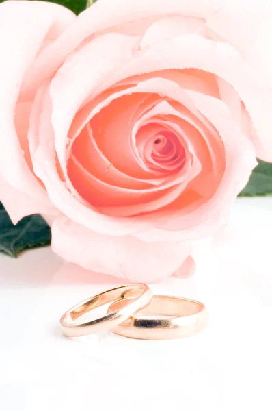Dva snubní prstni zlaté vedle růžové růže. — Stock fotografie