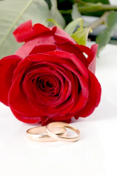 Zwei goldene Hochzeitsbänder neben einer roten Rose. — Stockfoto