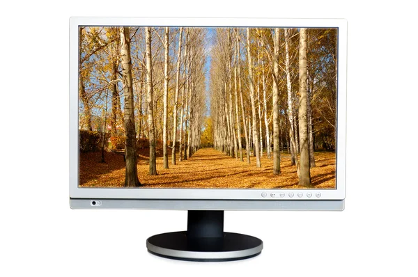 Widescreen LCD panel with landscape on the screen. — Stock Photo, Image