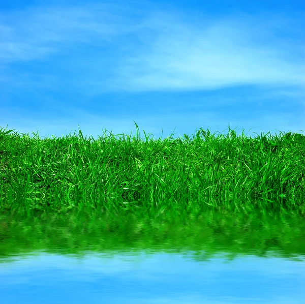 Campo verde e um céu azul com nuvens — Fotografia de Stock