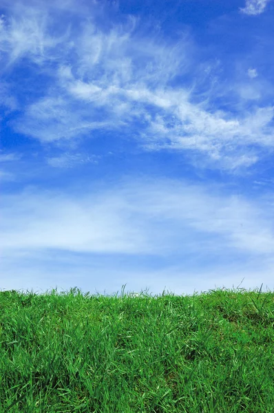 Grønn mark og blå himmel med skyer – stockfoto