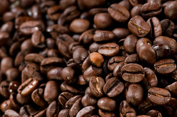 Coffee beans texture Royalty Free Stock Images