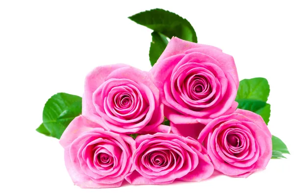 Gyönyörű rózsaszín rózsa csokor Stock Kép
